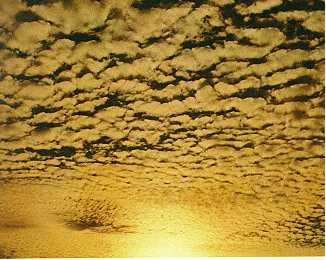 Weerhuisje.eu - Altocumulus - Altocumulus het eerste geslacht - Altocumulus Perlucidus