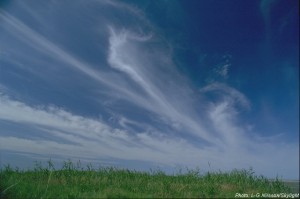 Weerhuisje.eu - Soorten Wolken - Cirrus