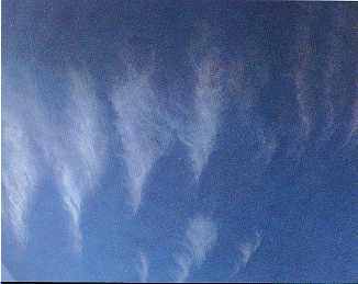 Weerhuisje.eu - Cirrus - Cirrus - Het derde wolkengeslacht - Cirrus uit oostelijke richting