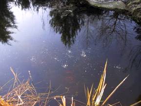 Weerhuisje.eu - Natuurijs - ijs met ingesloten gasbelletjes